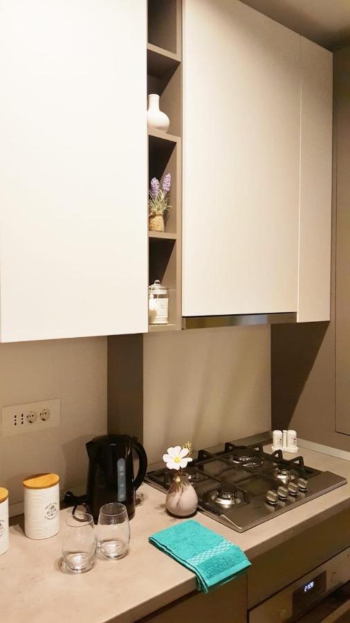Elias Central Apartment - 2 Bedrooms & Free Parking Nagyvárad Kültér fotó
