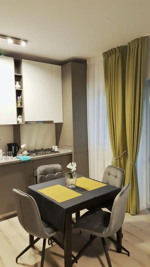 Elias Central Apartment - 2 Bedrooms & Free Parking Nagyvárad Kültér fotó