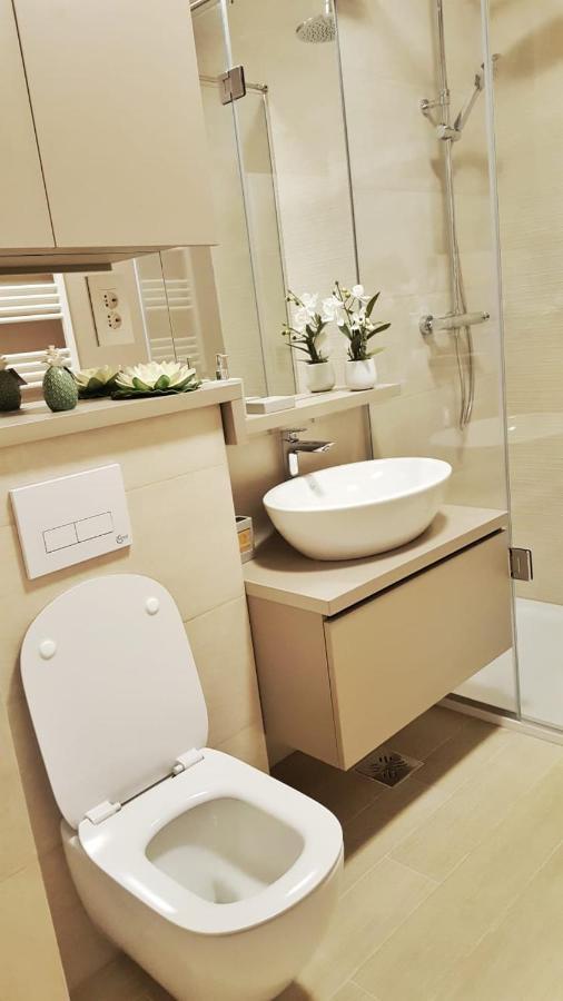 Elias Central Apartment - 2 Bedrooms & Free Parking Nagyvárad Kültér fotó